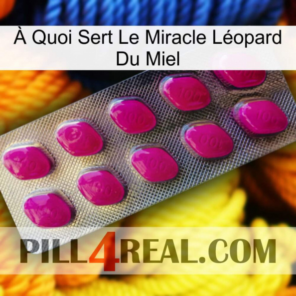 À Quoi Sert Le Miracle Léopard Du Miel 09